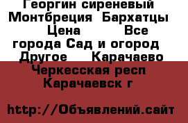 Георгин сиреневый. Монтбреция. Бархатцы.  › Цена ­ 100 - Все города Сад и огород » Другое   . Карачаево-Черкесская респ.,Карачаевск г.
